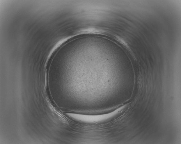 X0000078011323200611171836
