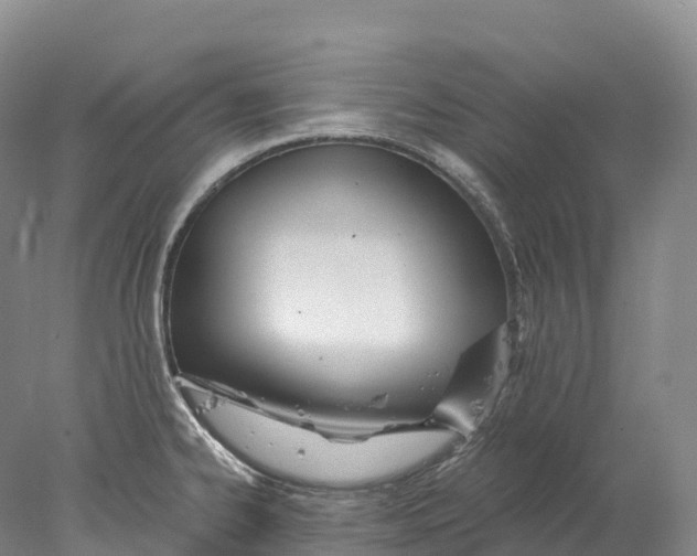 X0000078011334200611171836
