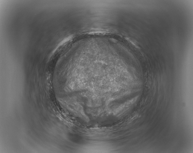 X0000078011351200611171836