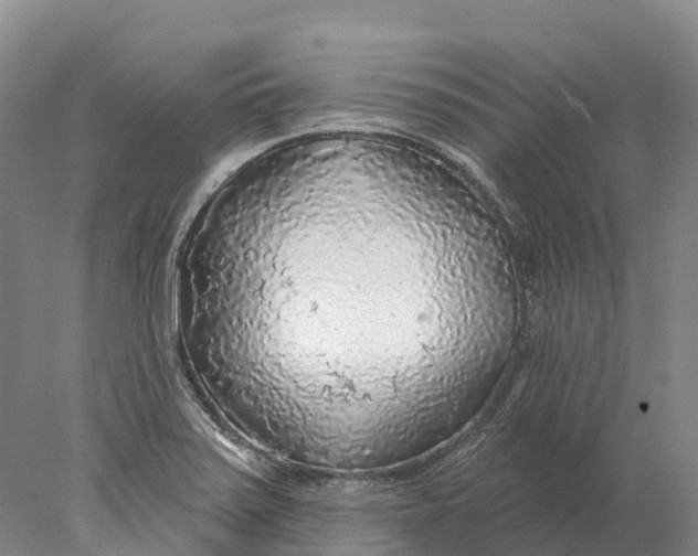 X0000078011371200611171835