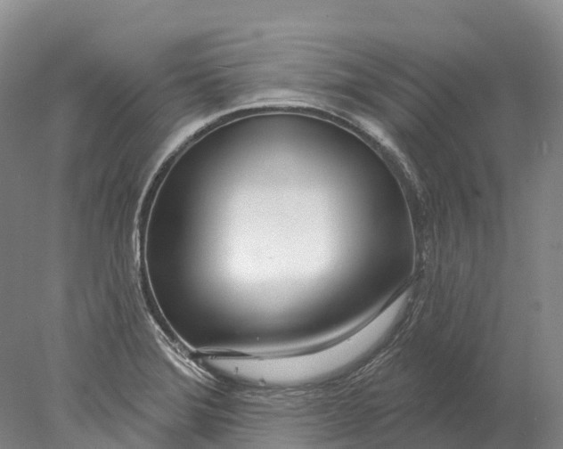 X0000078011372200611171835