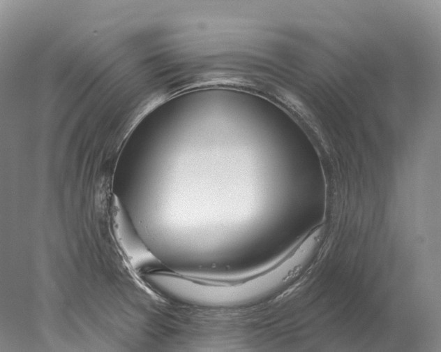 X0000078011377200611171835
