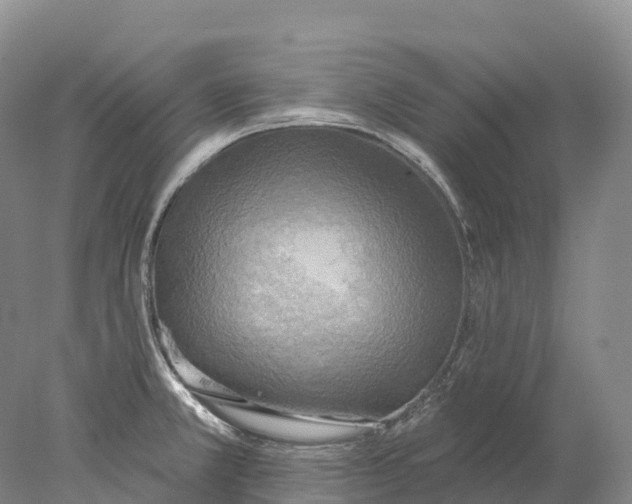 X0000078011381200611171835