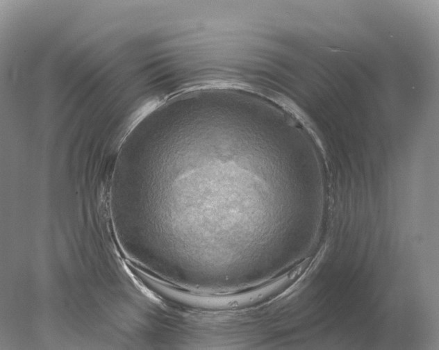 X0000078011385200611171835