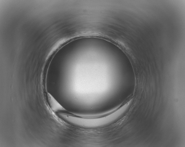 X0000078011422200611171835