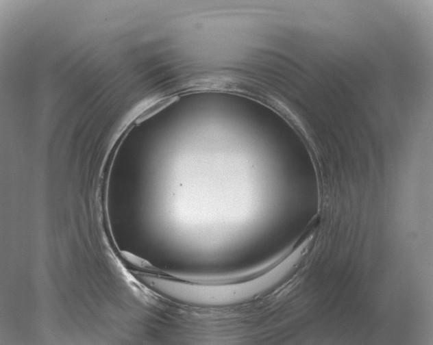 X0000078011434200611171835