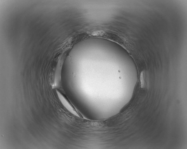 X0000078011443200611171834
