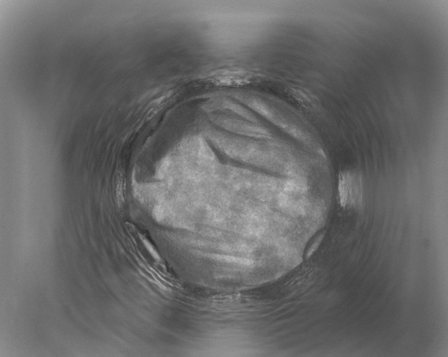 X0000078011444200611171834