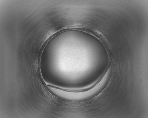 X0000078011457200611171834