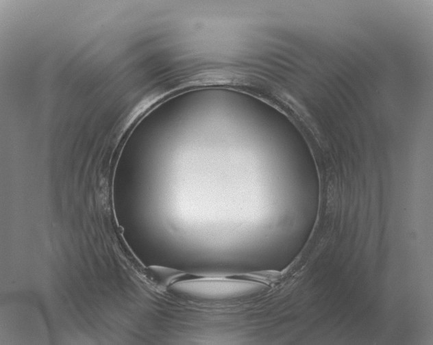 X0000078011465200611171834