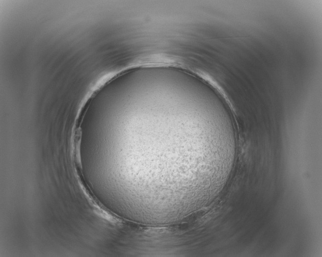 X0000078011477200611171833
