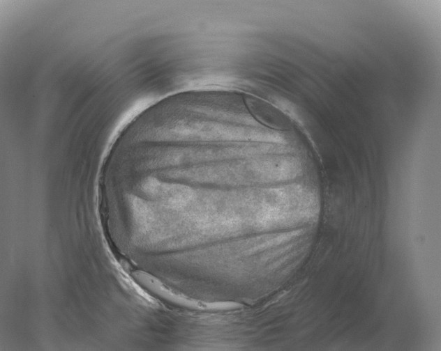 X0000078011480200611171833