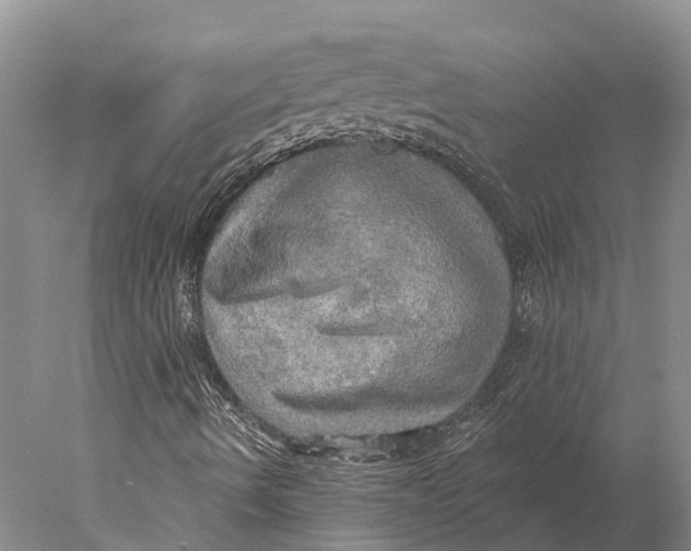 X0000078011490200611171832