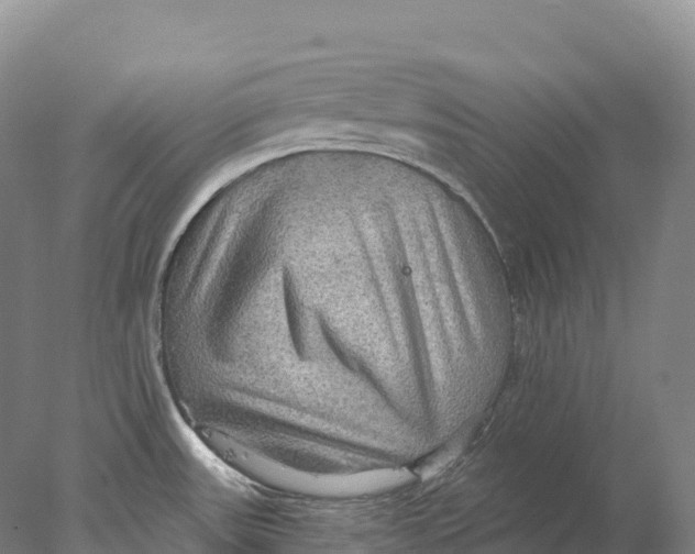 X0000078011531200611171833