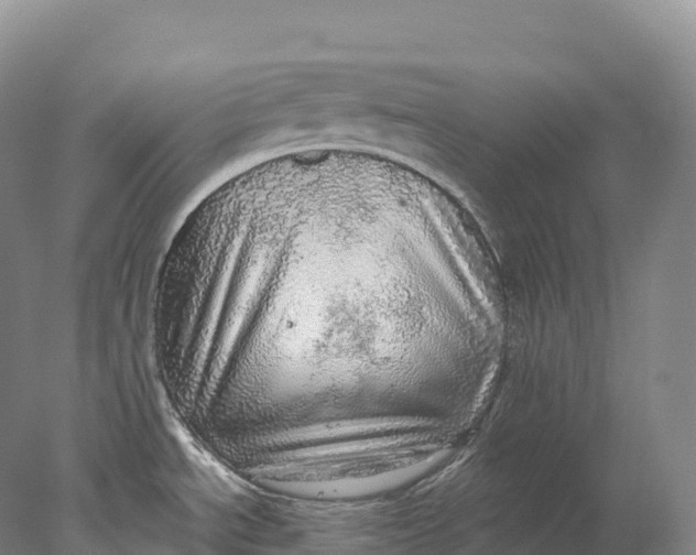 X0000078011534200611171833