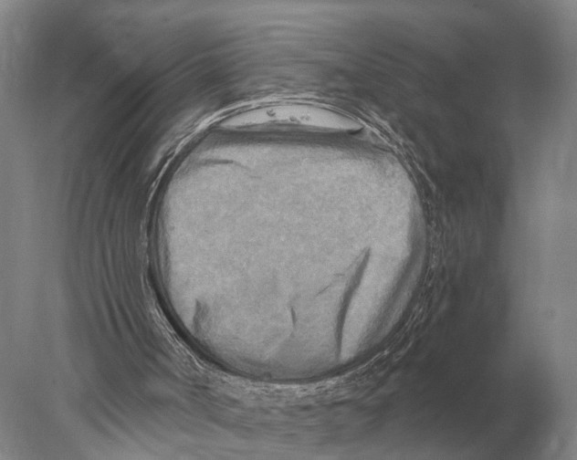 X0000078010002200611251515