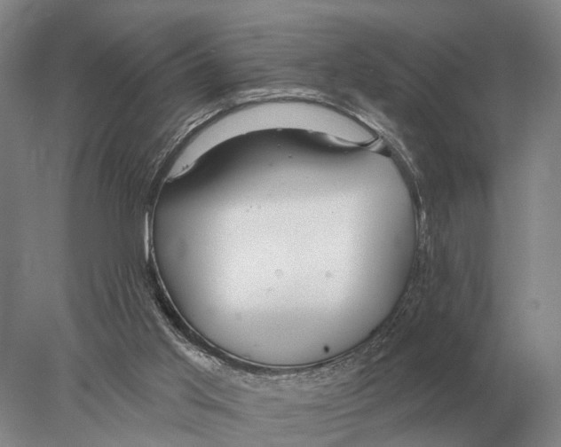 X0000078010013200611251515