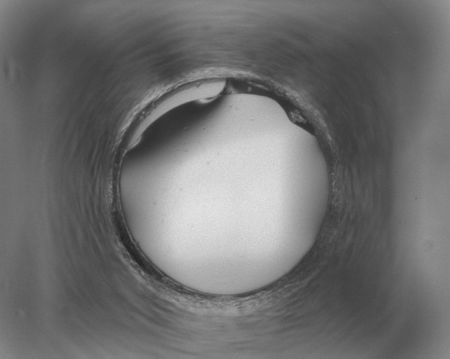 X0000078010015200611251515