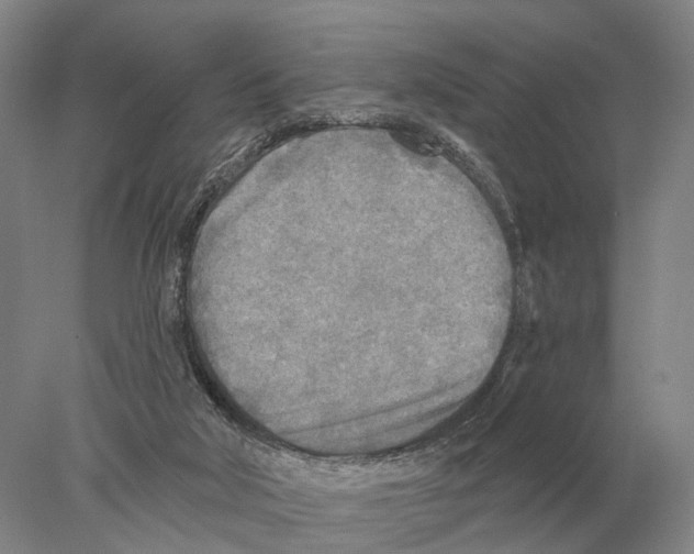 X0000078010018200611251515