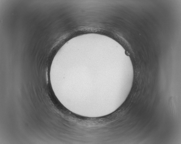 X0000078010020200611251515