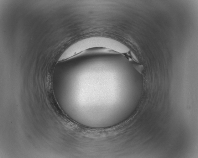 X0000078010029200611251515