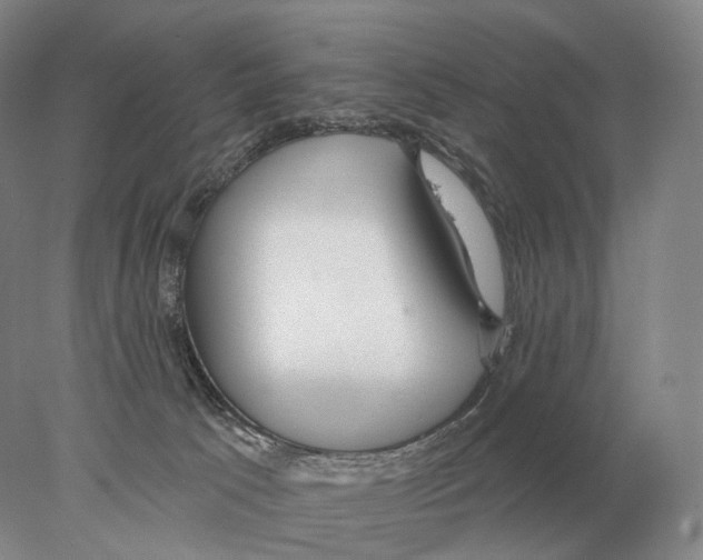 X0000078010033200611251514