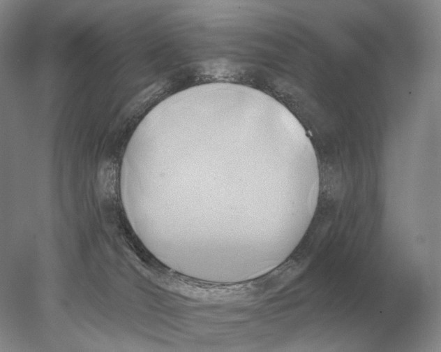 X0000078010036200611251514