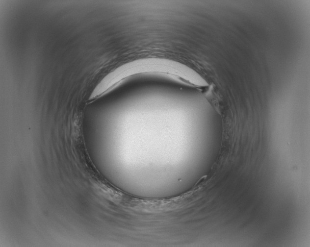 X0000078010037200611251514