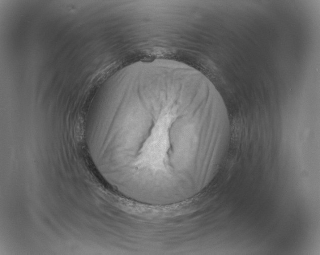 X0000078010043200611251514