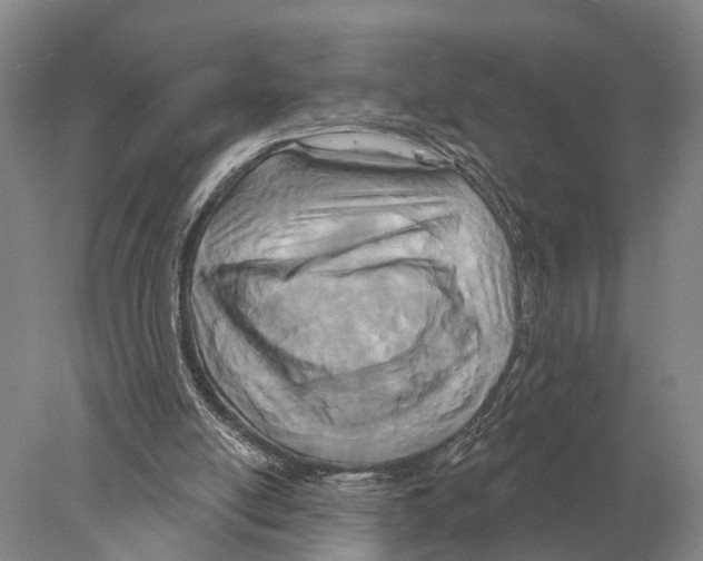 X0000078010054200611251514