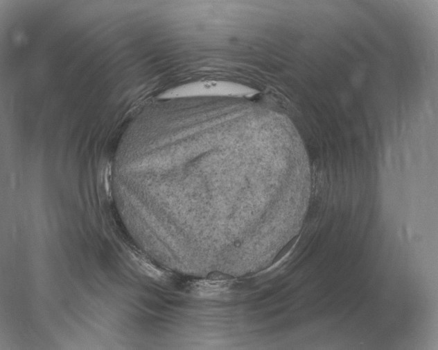 X0000078010094200611251514