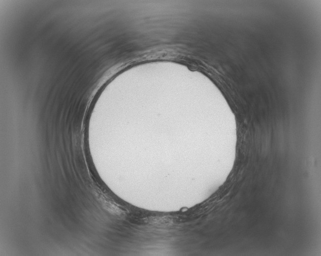 X0000078010100200611251513