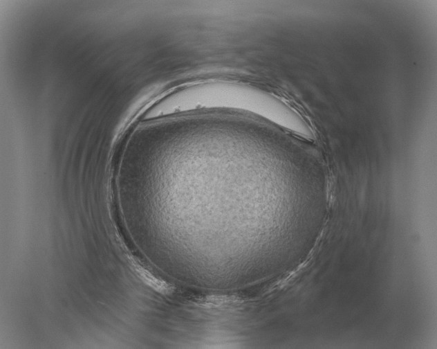 X0000078010101200611251513