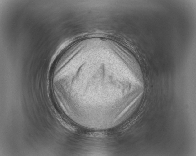X0000078010102200611251513