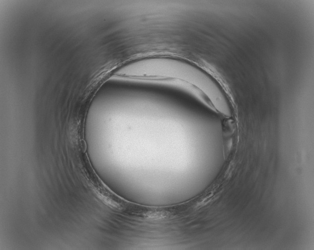 X0000078010105200611251513