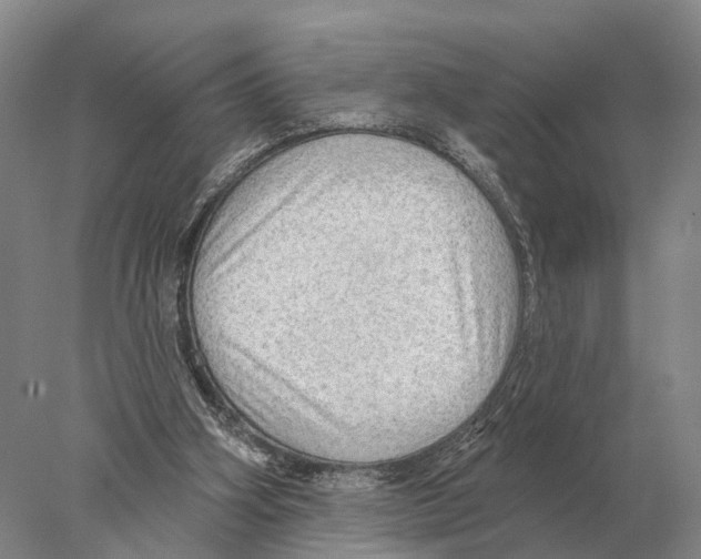 X0000078010106200611251513