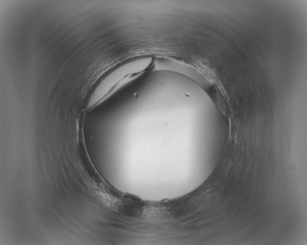 X0000078010109200611251513