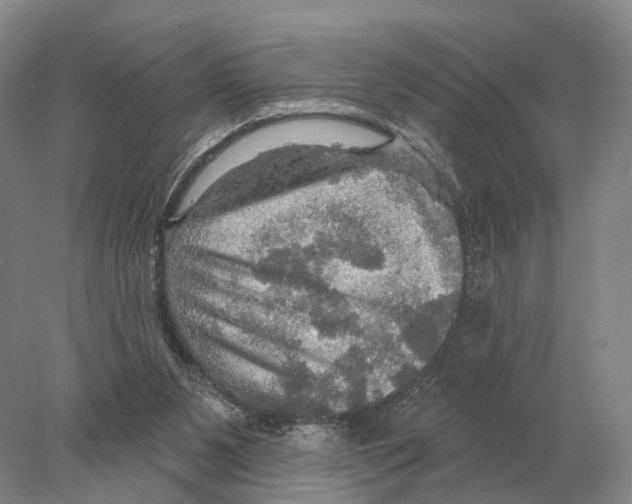X0000078010111200611251513