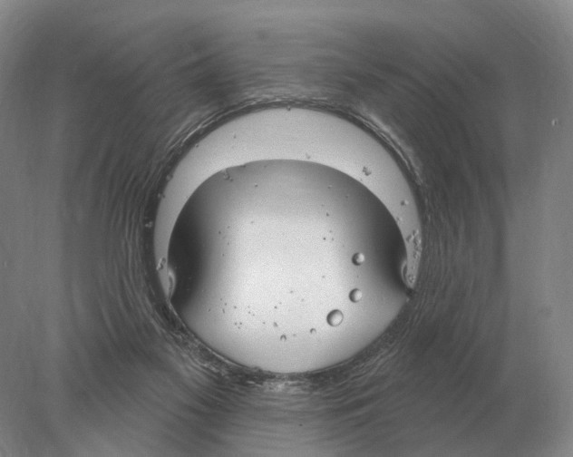 X0000078010117200611251513