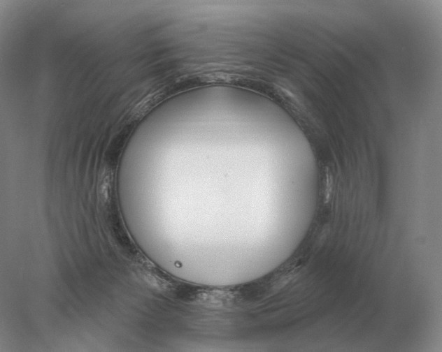 X0000078010125200611251513