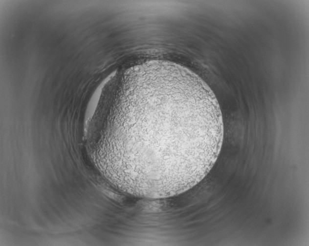X0000078010131200611251513