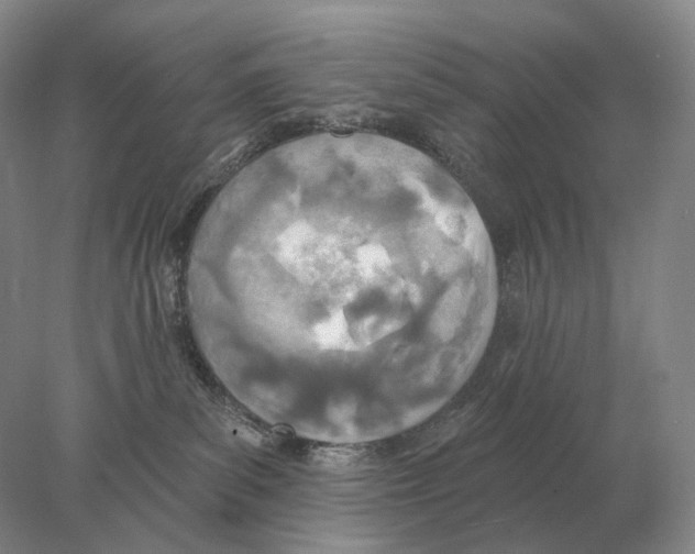 X0000078010139200611251513