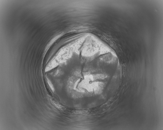 X0000078010147200611251512