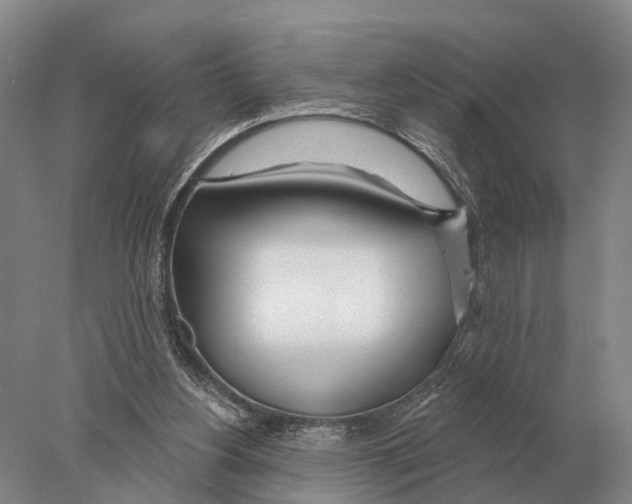 X0000078010156200611251512