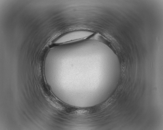 X0000078010158200611251512