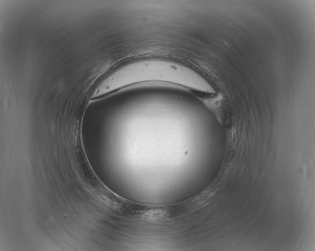 X0000078010168200611251512