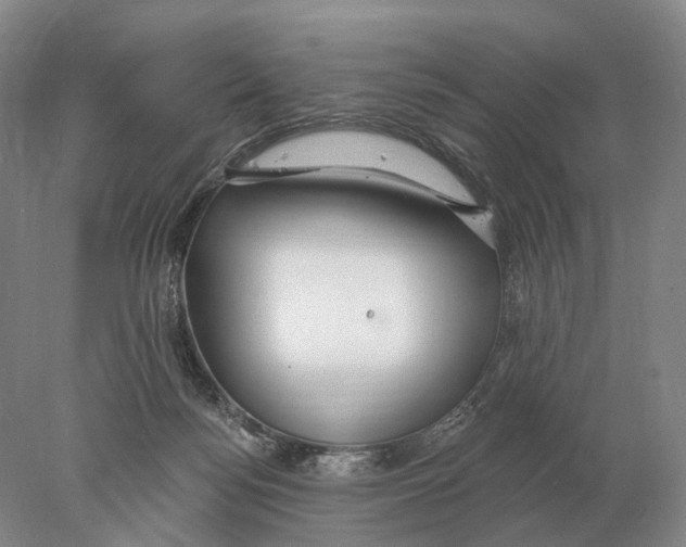 X0000078010172200611251512