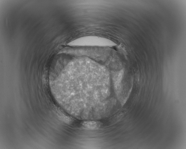 X0000078010181200611251512