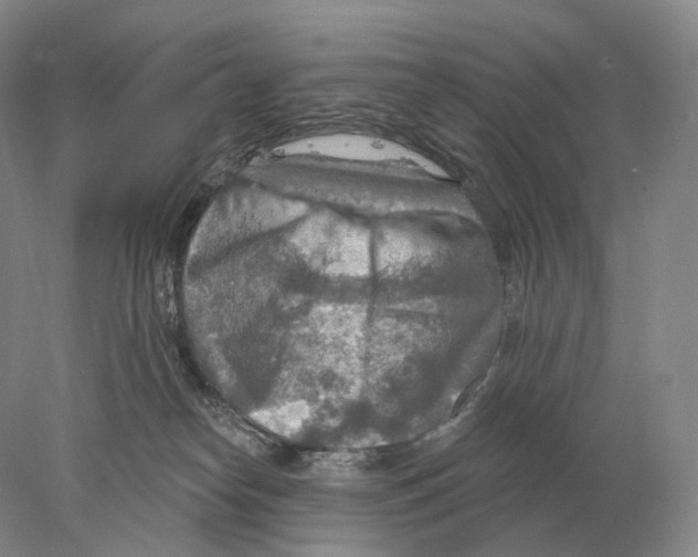 X0000078010182200611251512
