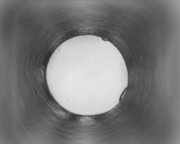 X0000078010183200611251512